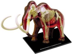 4D Vision Wooly Mammoth Anatomy Model