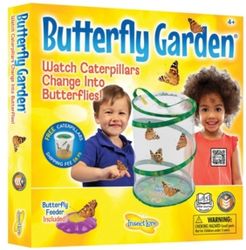 Stem Educational Butterfly Life Cycle Growing Kit