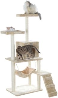 Cat Tree, Perches, Running Ramp, Condo and Hammock