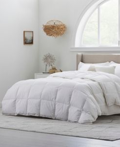 Stay in Bed All-Season EngineeredDown Comforter, Full/Queen