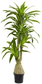 Dracaena Artificial Plant