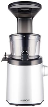 H-101 Easy Clean Slow Juicer