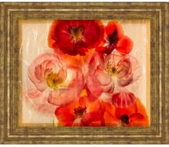 Papaver Dreams I by Harold Davis Framed Print Wall Art, 22" x 26"