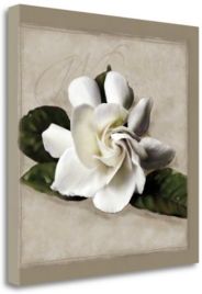 Botanical Gardenia by Janel Pahl Fine Art Giclee Print on Gallery Wrap Canvas, 25" x 25"