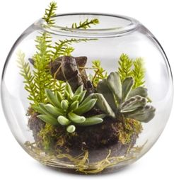 Mixed Succulent Artificial Garden with Glass Vase