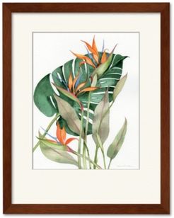 Botanical Birds of Paradise 20" x 24" Framed and Matted Art