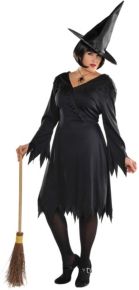 Wicked Witch Adult Women's Costume