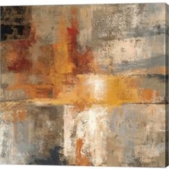Silver and Amber Crop by Silvia Vassileva Canvas Art, 36" x 36"