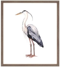 Paragon Sea Bird I Framed Wall Art, 29" x 26"