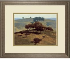 Hills Near Chico by N. Bohne Framed Print Wall Art, 34" x 40"