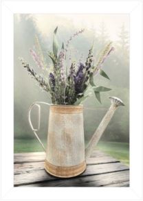 Lavender Watering Can by Lori Deiter, Ready to hang Framed Print, White Frame, 15" x 21"