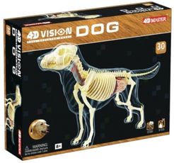 4D Vision Full Skeleton Dog Model