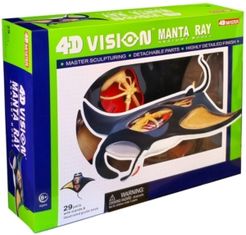 4D Vision Manta Ray Anatomy Model