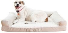 Bolstered Pet Memory Foam Cushion Bed