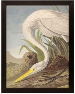 Paragon White Heron Framed Wall Art, 52" x 41"