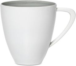 Savona Gray Mug