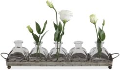 Decorative Iron Tray with 5 Glass Vases