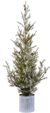 49" Green/White Potted Ponderosa Pine