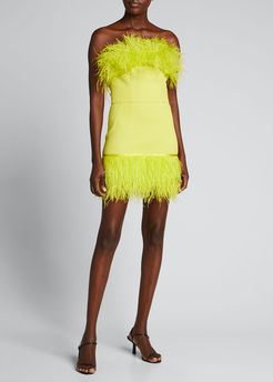 Lola Feather Trim Bustier Dress