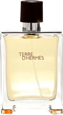 Terre D'Hermès Eau De Toilette 100 ml Hermes Profumi Uomo