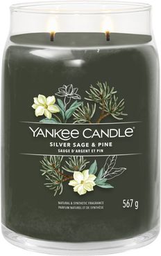 Candela Silver Sage Pine Giara Signature Grande 567 gr Yankee Candle