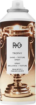 6 oz. TROPHY Shine Texture Spray