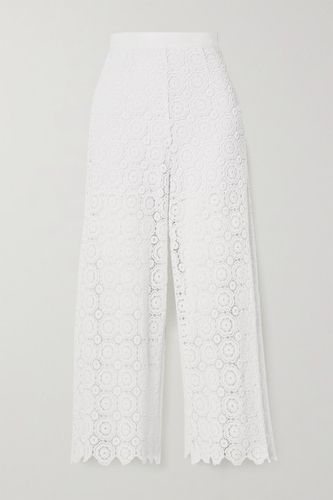 Dana Cropped Crocheted Cotton Straight-leg Pants - White