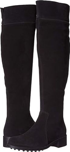 Scarlit (Black Suede) Women's Shoes