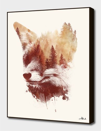 Curioos Blind Fox