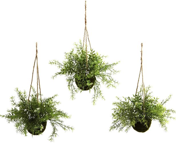 Nearly Natural Set of 3 Mini Ruscus, Sedum & Sperengeri Hanging Basket