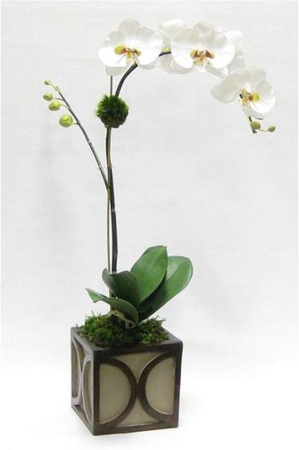 Artificial Orchid Mini Wooden Square Container