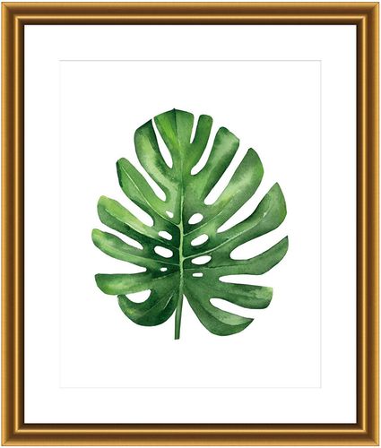 McGaw Graphics Monstera I by Ann Solo
