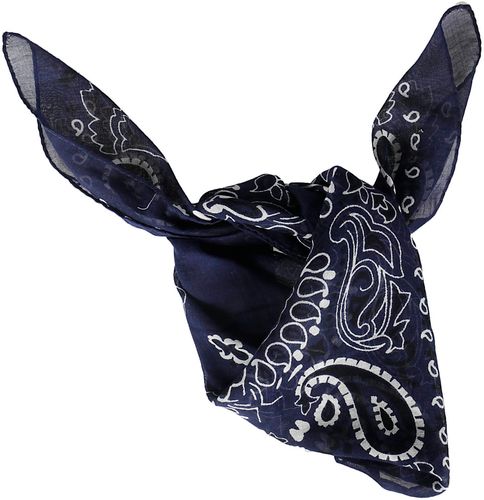 Printed Foulard