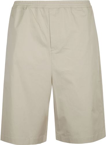 Cotton Basic Shorts