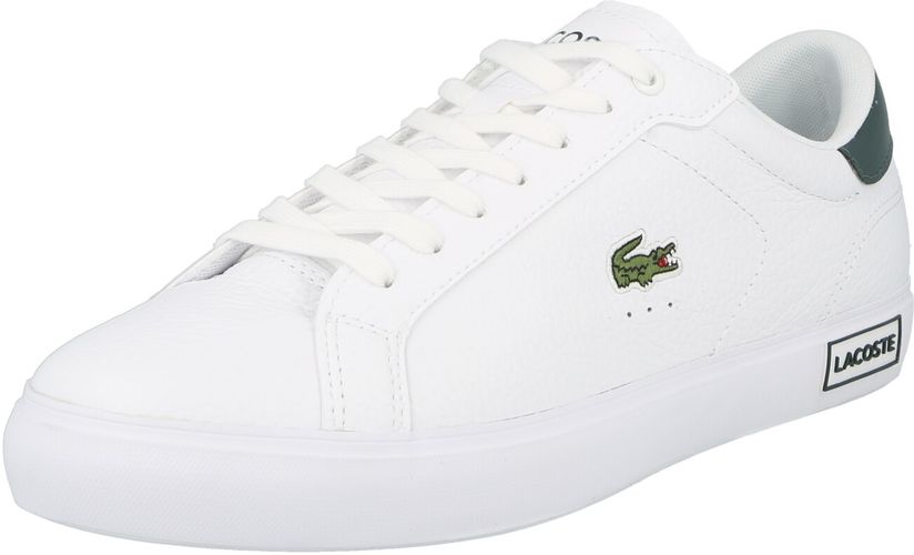 Sneaker bassa  bianco / verde