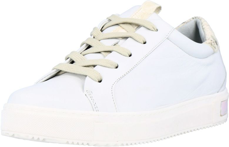 Sneaker bassa  bianco / oro