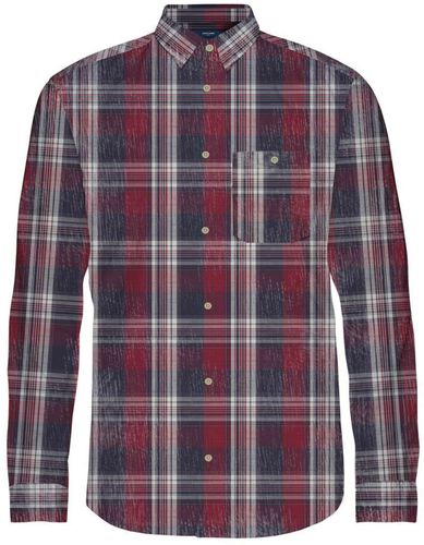 Camicia  rosso vino / bianco / navy