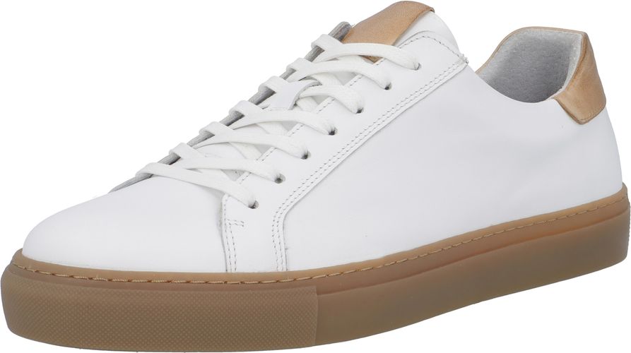 Sneaker bassa 'Ajay'  marrone / bianco