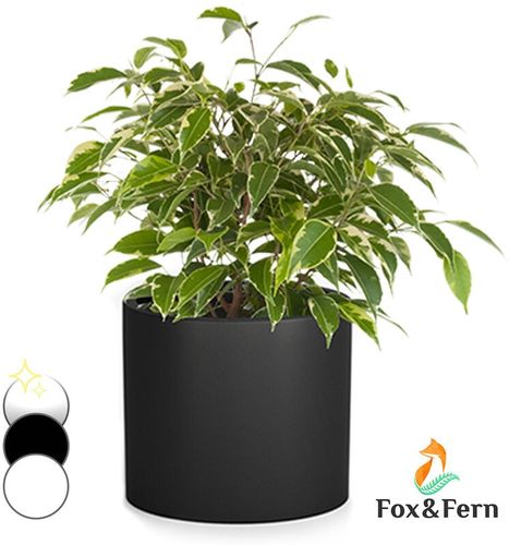 Fox&fern - Fioriera, vaso per piante, fiberstone, interni/esterni