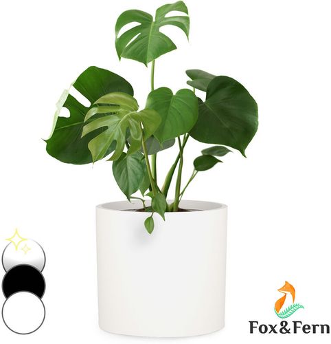 Fioriera, vaso per piante, fiberstone, interni/esterni - Fox&fern