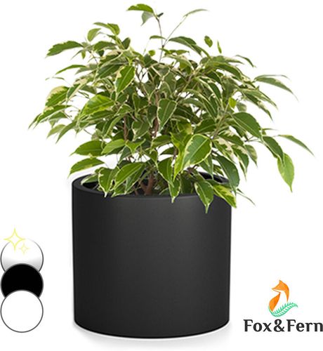 Fioriera, vaso per piante, fiberstone, interni/esterni - Fox&fern
