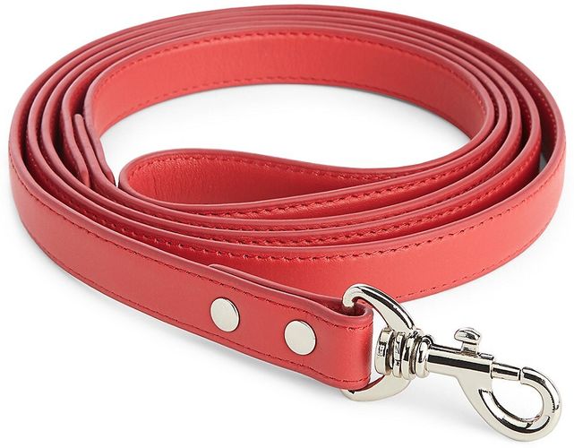 Leather Dog Leash - Red