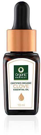 Clove Essential Oil By Organic Harvest | Skin Care Essential Oils Clove | Organic Clove Essential Oil | Usda Certified Essential Oil | Clove Oil for Aromatherapy - 10 Ml