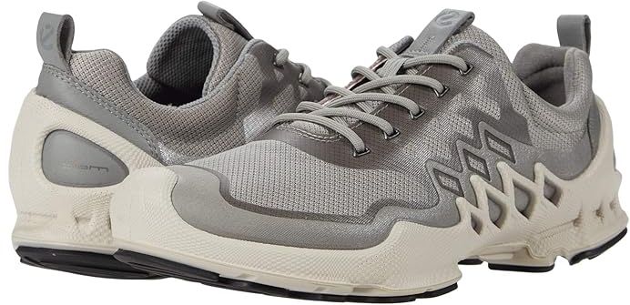 BIOM AEX Trainer (Wild Dove/Buffed Silver) Women's Shoes