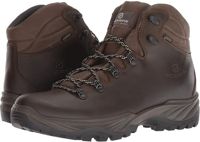 Terra GTX (Brown 1) Men's Hiking Boots