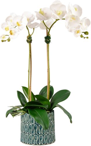 Casual Orchid Planter Decoration