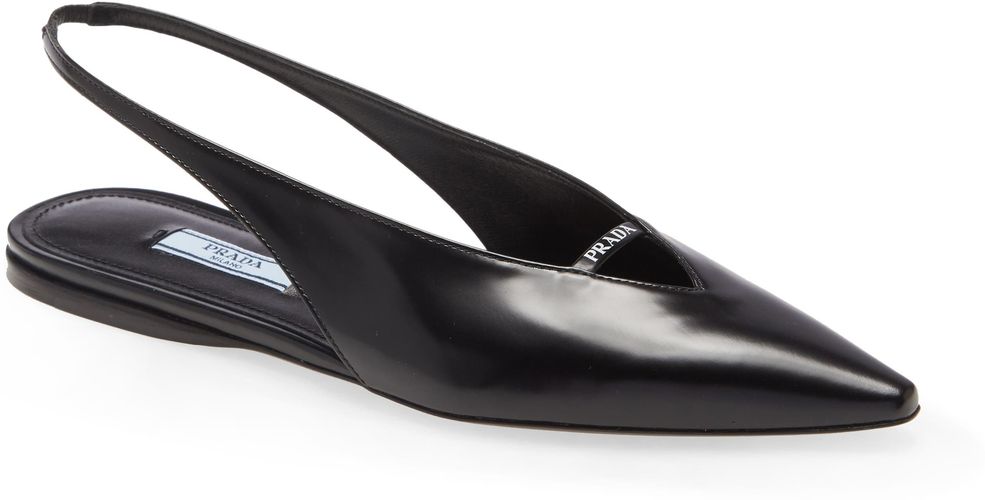 Slingback Pointy Toe Flat