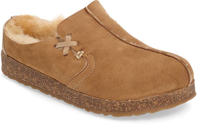 Haflinger Saskatchewan Slipper