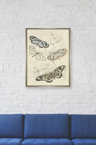 PTM Images Large Swamp Insects Canvas Wall Art at Nordstrom Rack