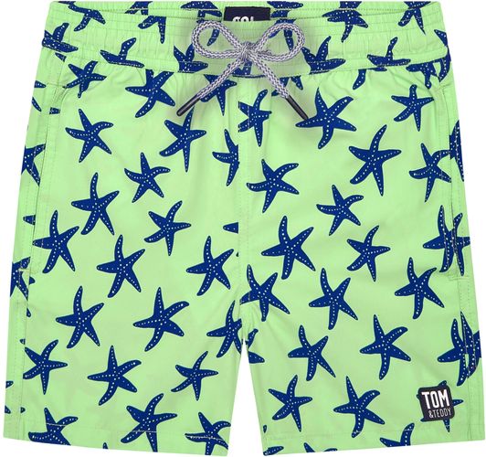 Toddler Boy's Tom & Teddy Starfish Print Swim Shorts